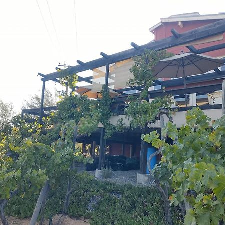 Rancho Los Amigos Cabin Lodge Ensenada Exteriör bild