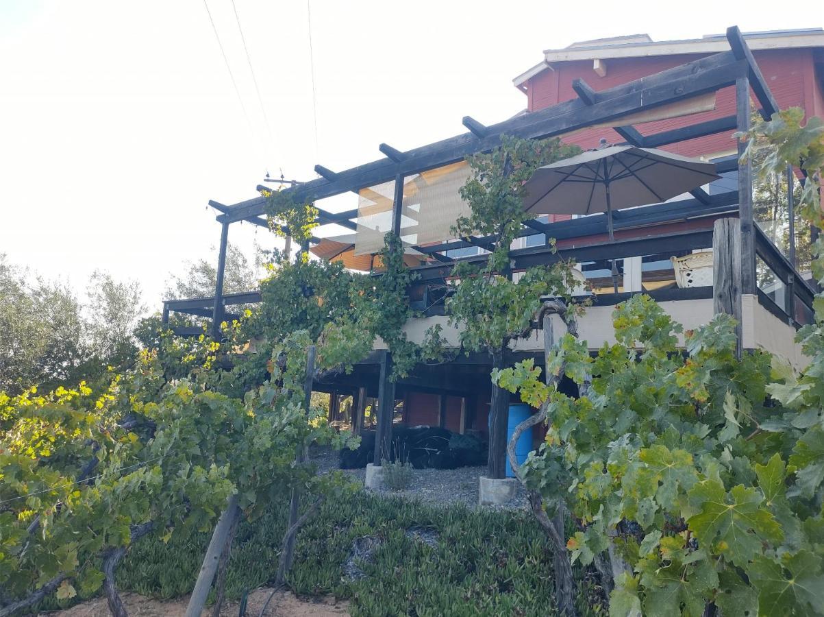 Rancho Los Amigos Cabin Lodge Ensenada Exteriör bild